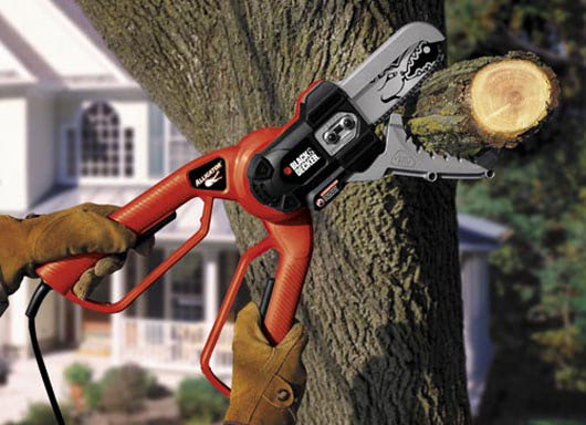 Alligatorsnoeischaar