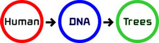 biopresence