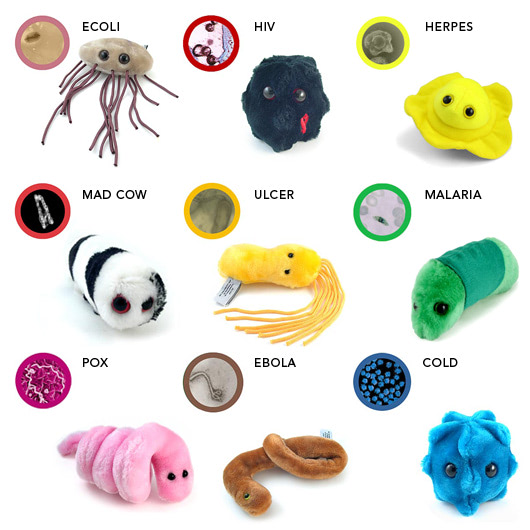 Bacteria plushies on sale