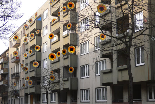 sunflower satellite dish