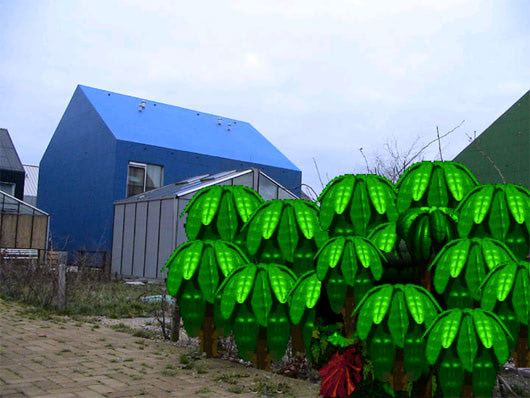 onkruid door koert van mensvoort