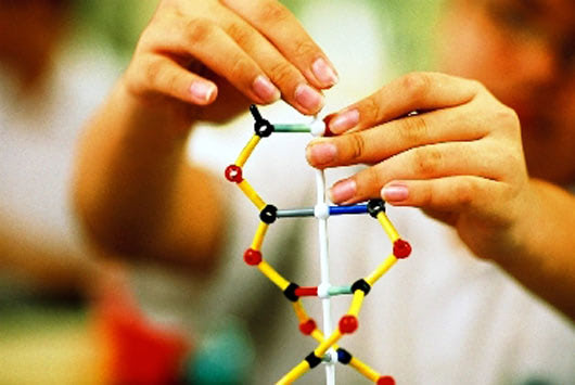 dna