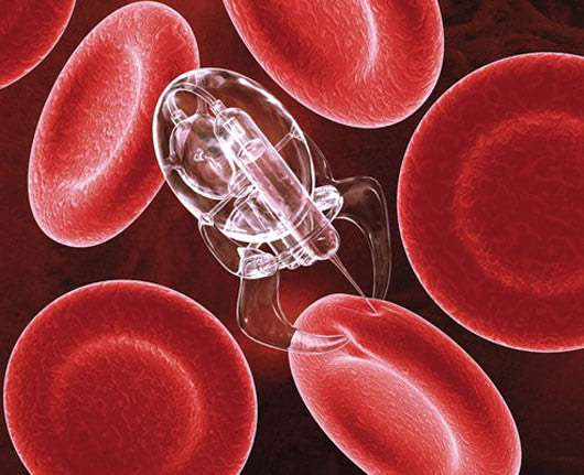 nanotech food
