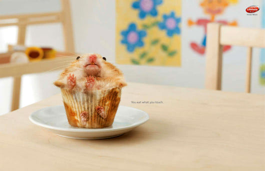 hamster cake