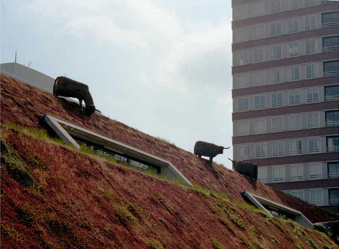 image created by beatrice jansen