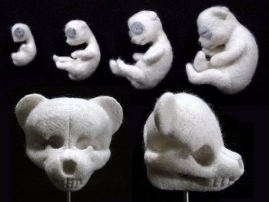 teddybears atonomy