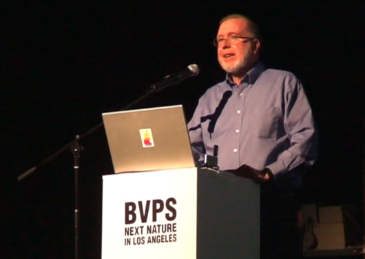 kevin kelly