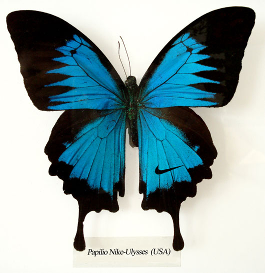Koert van Mensvoort - Papilio Nike-Ulysses. The future of advertizing: just do it?