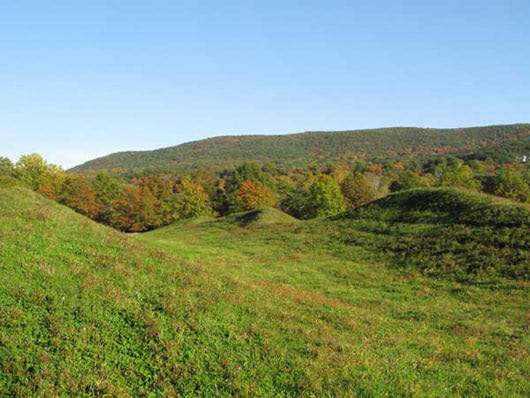 wave-field-ef2c_lg_530.jpg
