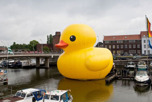 rubber duck