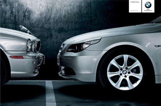 bmw-jaguar_scared_cat_530.jpg