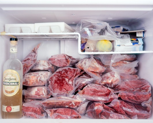 fridge06