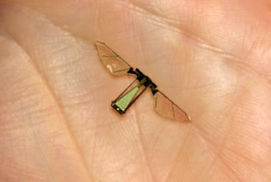 robo-fly2