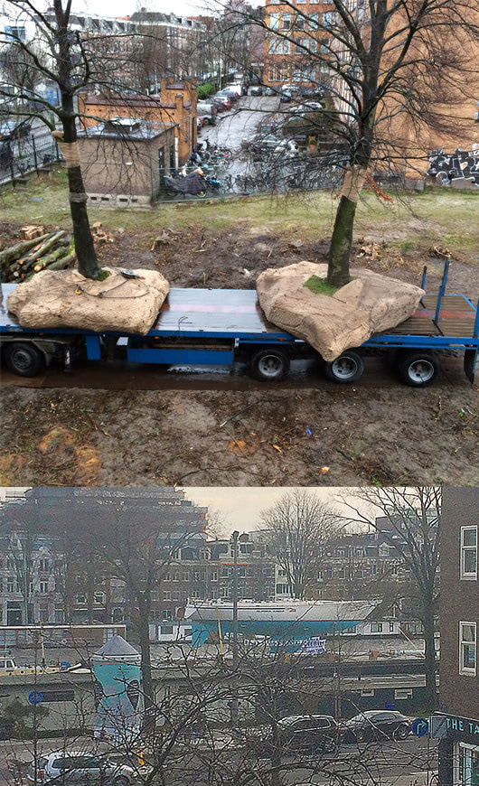 curious_transport_530