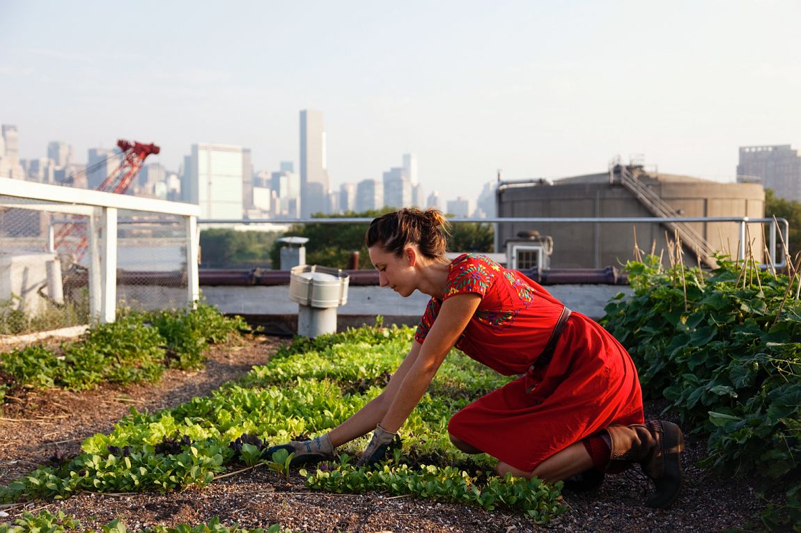 Urban Farmer