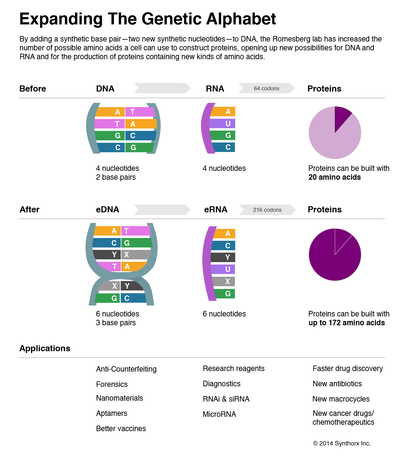 Synthorx-ExpandingAlphabet_sm