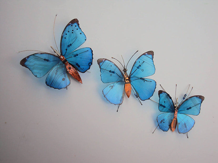 circuitboard-computer-component-bugs-julie-alice-chappell-15