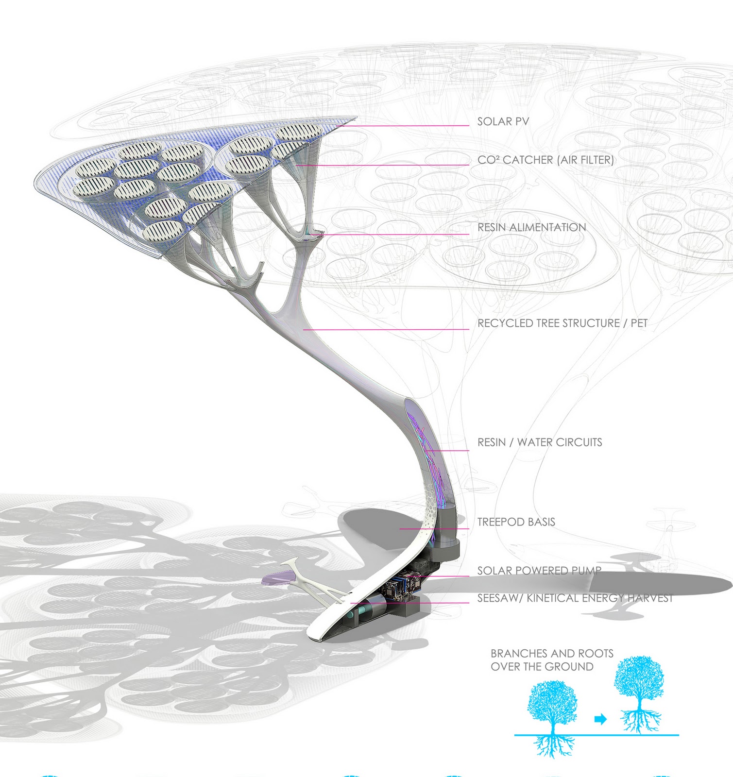 BOSTON TREEPODS_2