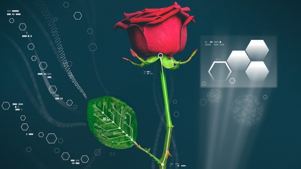 sn-electronicplants