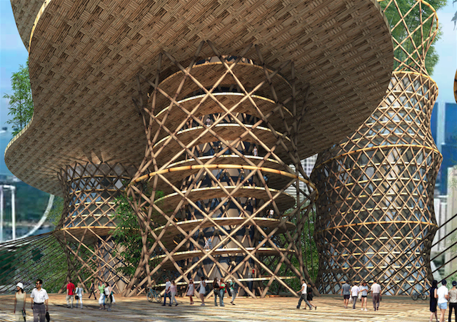bamboo1
