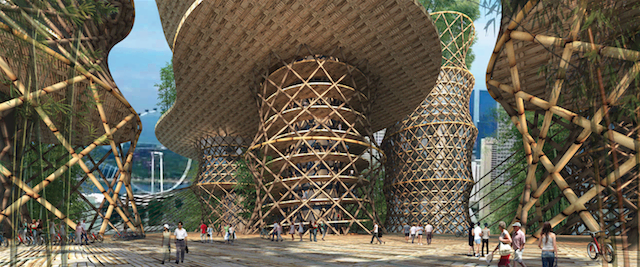bamboo2