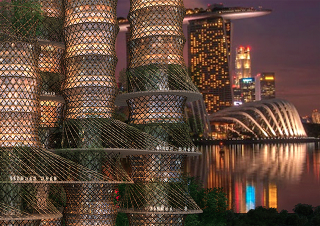 bamboo3