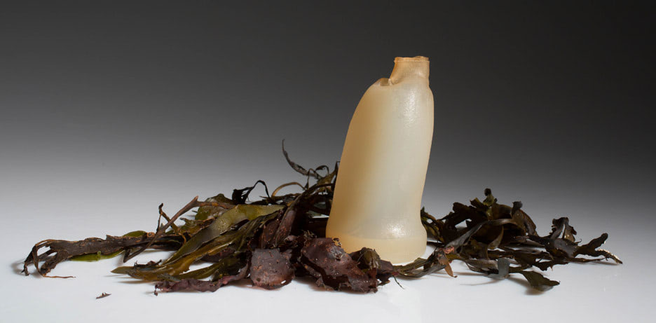 algae-water-bottle-by-ari-jonsson_dezeen_936_1