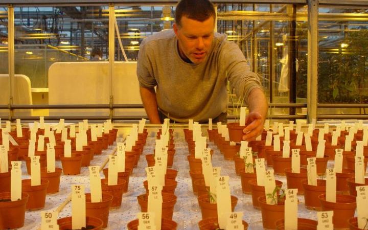 wageningen-ur-mars-crops