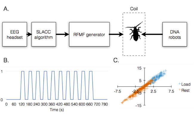 Process of mind controlled nanobots