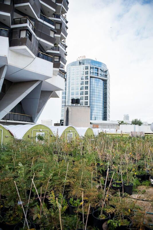 Urban Farm Tel Aviv