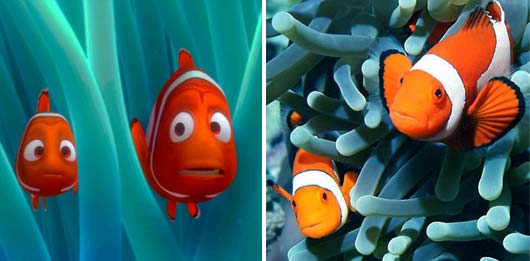 Fake for Real: Redefining Nemo