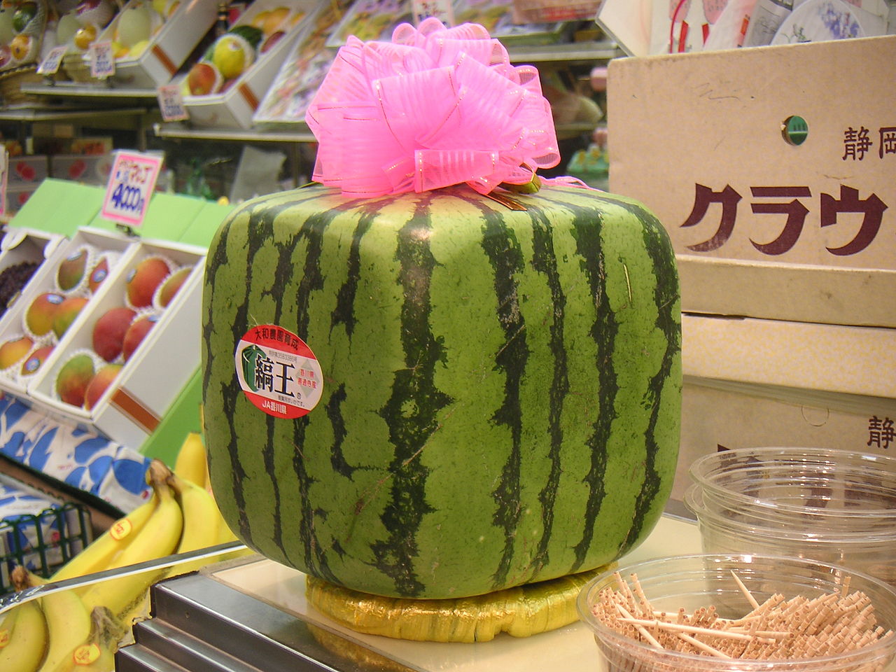 Modernistic Watermelon