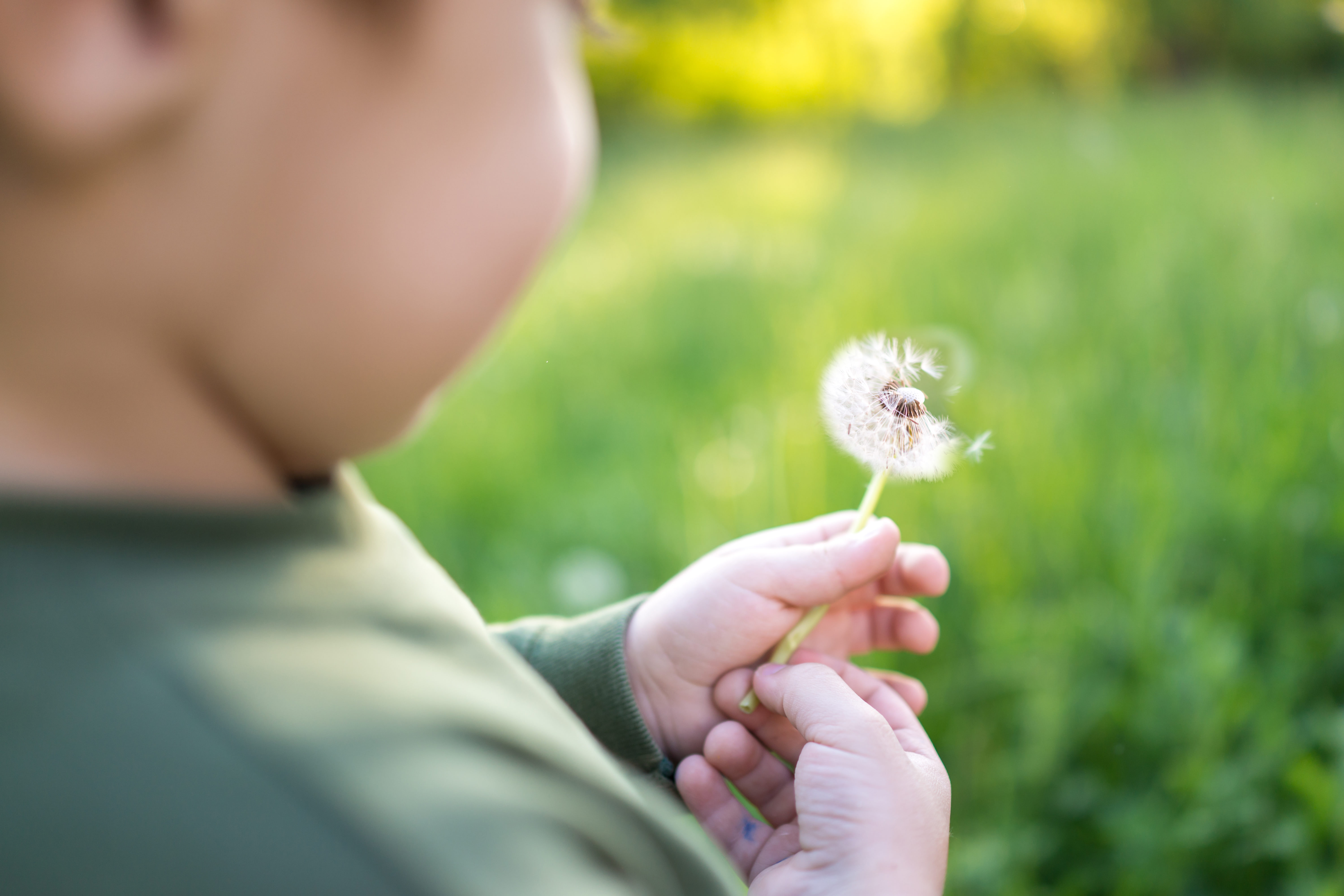 Children's Dictionary Dumps 'Nature' Words