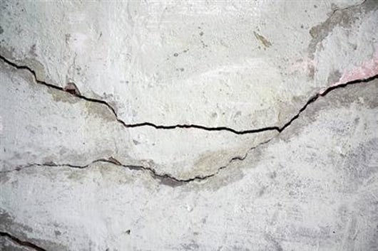 Engineered Bacteria heal Cracks in Walls