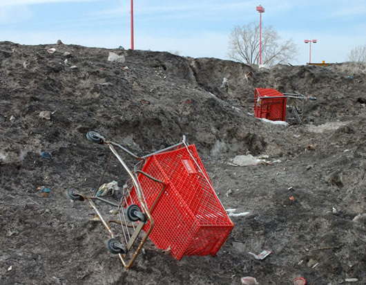 The Stray Shopping Cart Project