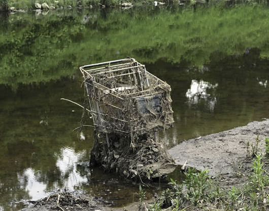 The Stray Shopping Cart Project