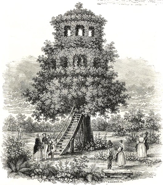 Tree Temple