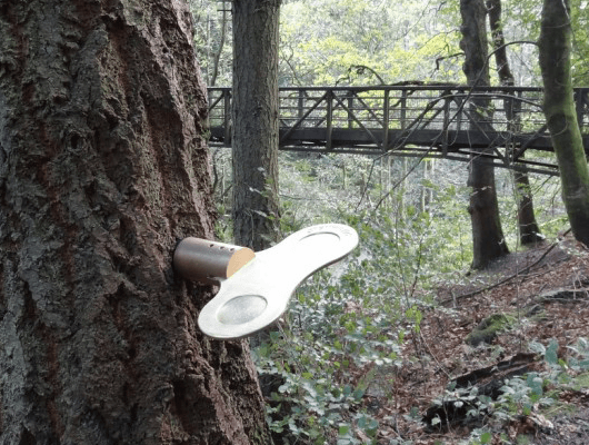 A Clockwork Forest
