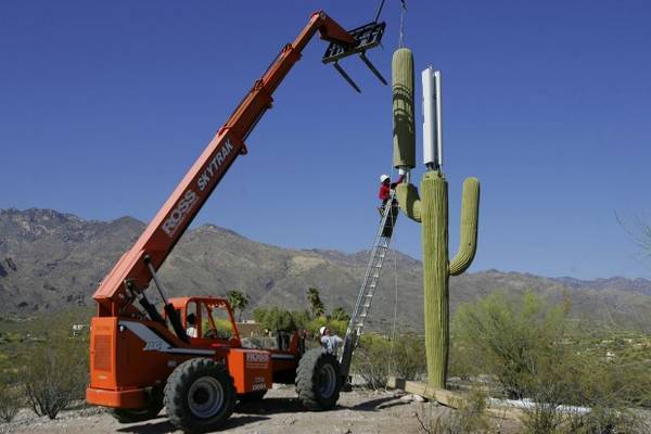 Arizona gets a Cactus Cellular Tower Too