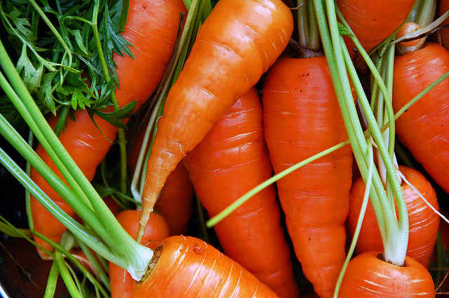 First "Farm"aceuticals Grown in Carrots