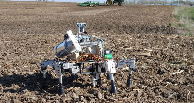 Let the Robotic Farmers feed the World