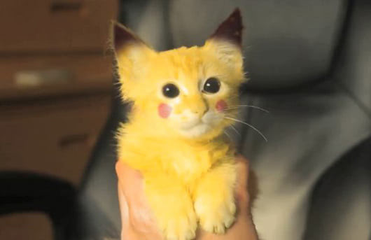 Pikachu Pussy