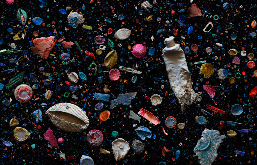 Plastic Junk Helps Ocean Animals (Sometimes)