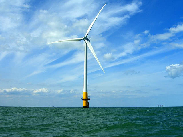 Turning Wind Farms into Seaweed Farms