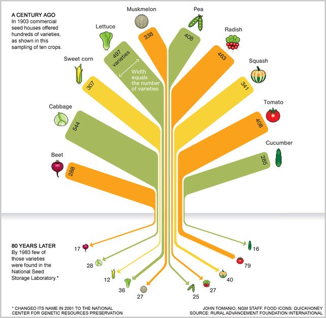 Where Have All the Cucumbers Gone?