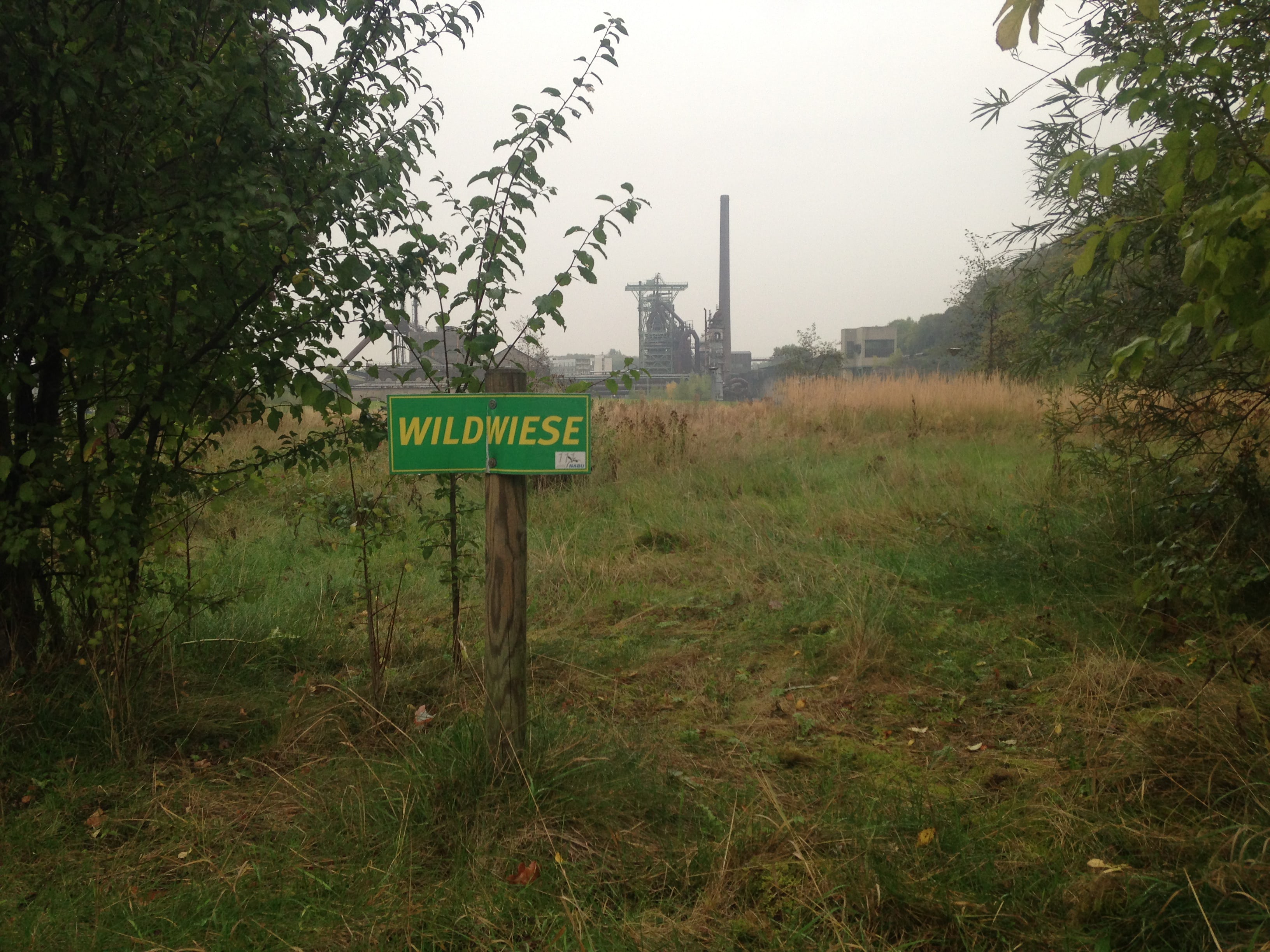 Anthropo-scene #5: Industrial Wilderness