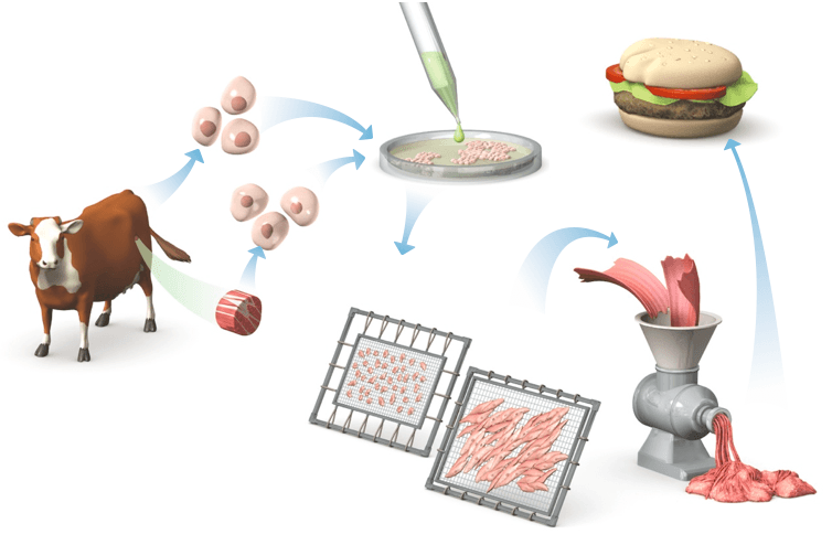 Grossed Out by Lab-Grown Meat? Here's 7 Reasons Why You Shouldn't Be