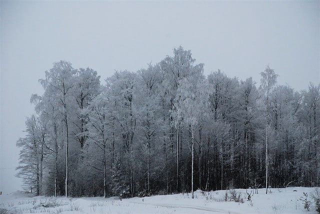 Manmade Global Warming Is at Least 15,000 Years Old