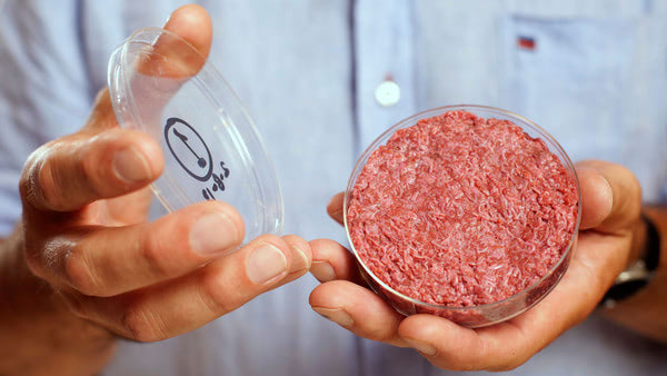 Why Meat Grown in Labs is the Next Logical Step for Food Production