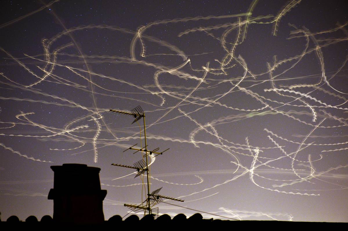 The Visible Flight of Seagulls